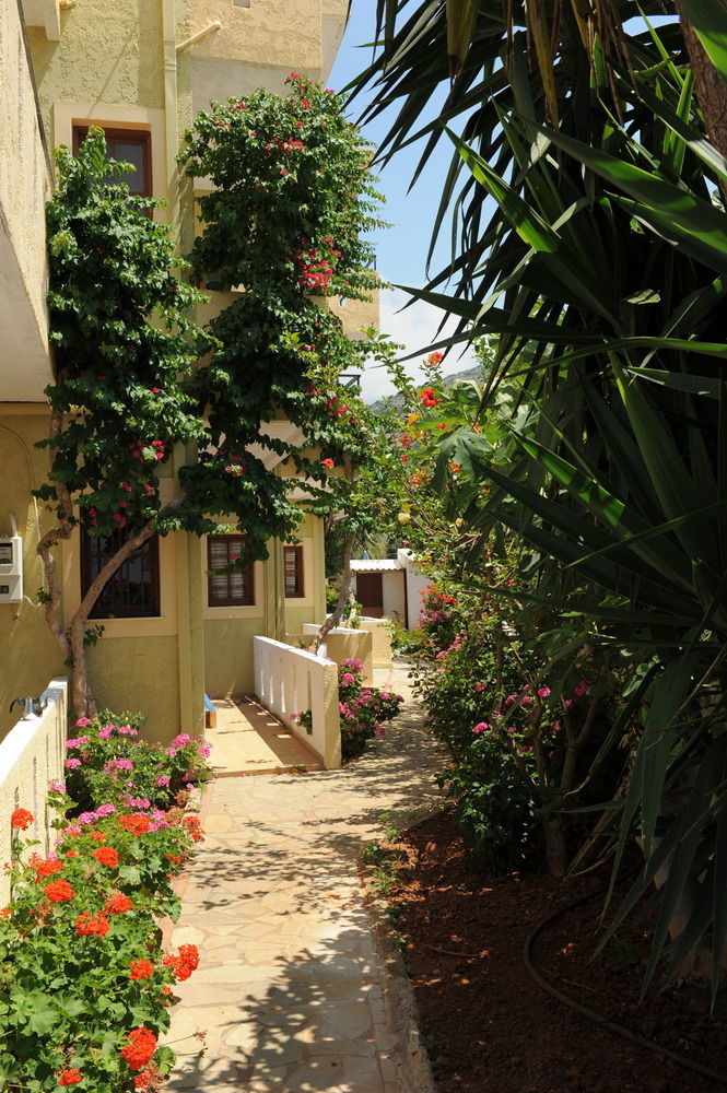 Stelios Residence Apartments Малиа Экстерьер фото